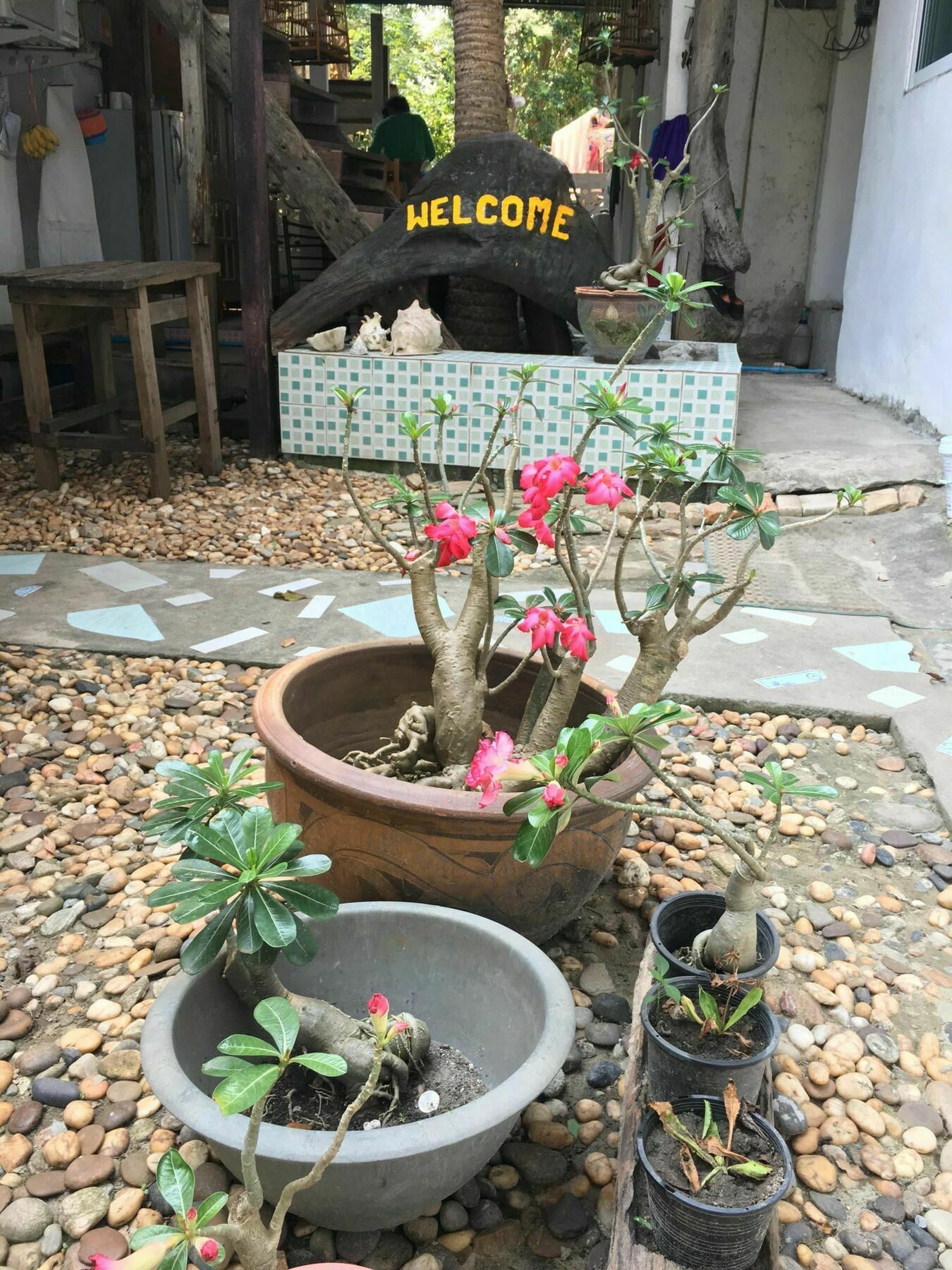 Miss Hong House Koh Samet Exterior foto